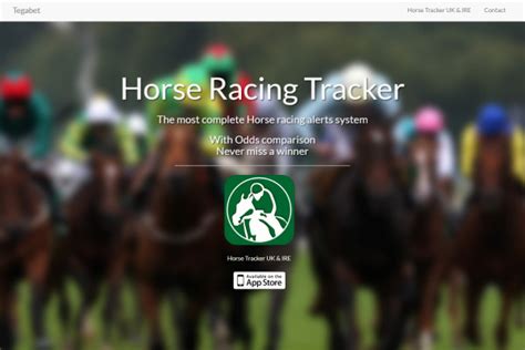 Horse Racing Software