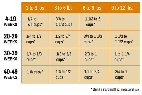 The table below shows a good kitten feeding schedule: Cat Care Cheat Sheet: A Simple Guide to Cat Parenthood