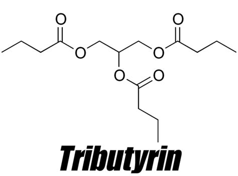 Tributyrin The Gut Health Optimizer