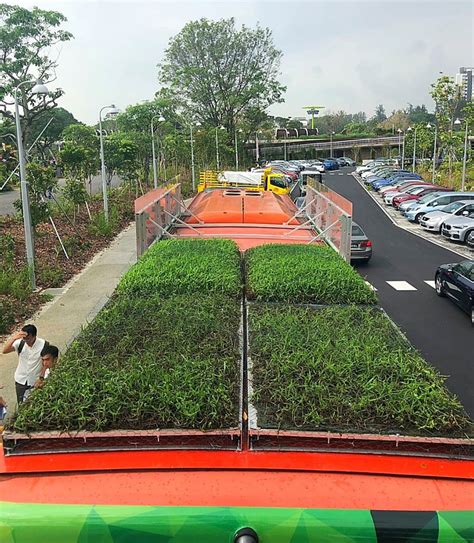 A First In Asia Singapore Installs Green Roofs On Buses Cgtn