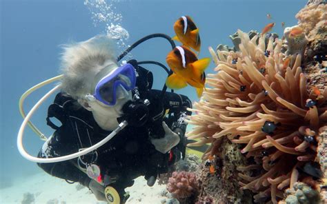 Andaman Scuba Diving Experience Top Scuba Diving Spots In Andaman