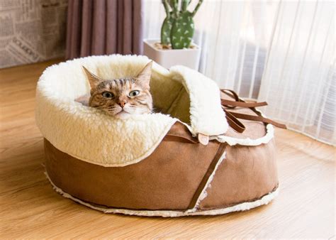 Unique Moccasin Pet Bed For Cats Dogs And Pets Modern Cat