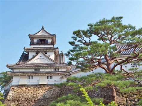 Kochi Japan A Vibrant City Worth Visiting Visit Nagasaki