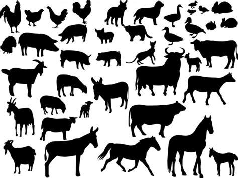 Horizontal Illustration Of Farm Pets — Stock Vector © Vertyr 27423875