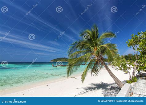 Hermosa Isla De Tailandia Isla De Viajes Koh Lipe Playa De Arena Blanca Con Palmera Y Soleado