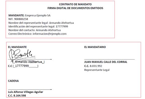 ¿cómo Firmar El Contrato De Mandato Para Documento Soporte Electrónico