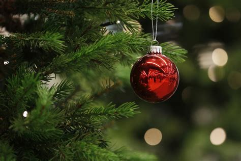 Real Or Fake Christmas Tree Why Environmentalists Say The Real Thing