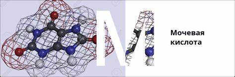 Диета для снижения мочевая кислота Мочевая кислота Мочевая кислота Диета для снижения мочевая кислота