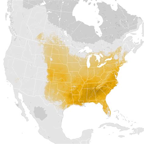 Brown Thrasher Abundance Map Post Breeding Migration Ebird Status