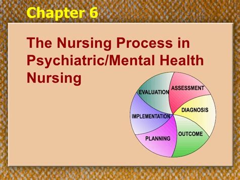 Mental Health Ch06 Nursing Process9 06