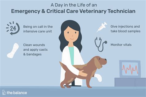 Emergency & Critical Care Vet Tech Job Description: Salary, Skills, & More