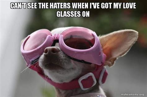 Cant See The Haters When Ive Got My Love Glasses On Pink Dog