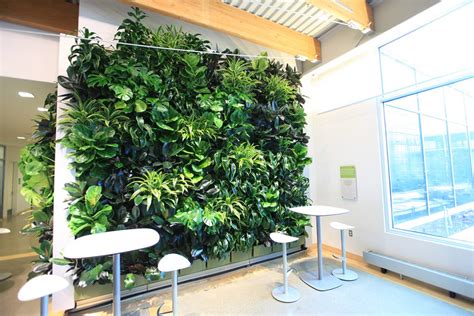 Indoor Living Walls Livewall Vertical Plant Wall System