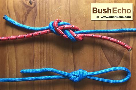 How To Tie A Figure Of Eight Knot Bushecho