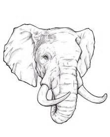 Free Elephant Drawing Download Free Elephant Drawing Png Images Free