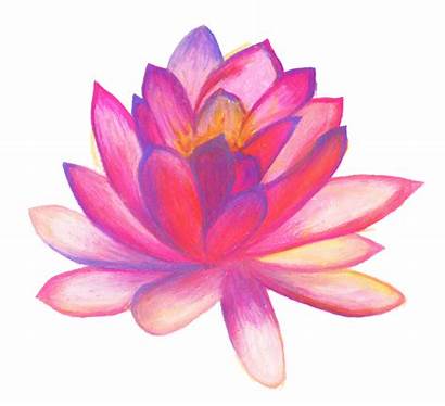 Drawn Hand Flower Flowers Drawing Lotus Clipart