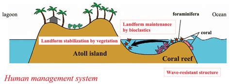 Most of these island arcs are formed as one oceanic tectonic plate subducts another one and, in most cases. Natural process of atoll island formation with traditional ...