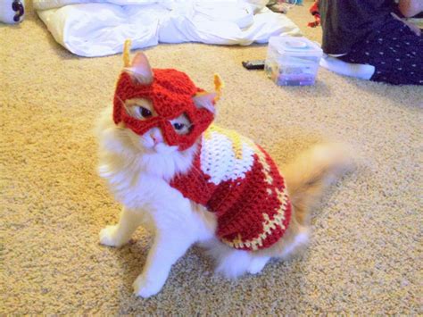 Kitty Flash — Lifted Geek Cat Outfits Pets Cat Clothes Crochet
