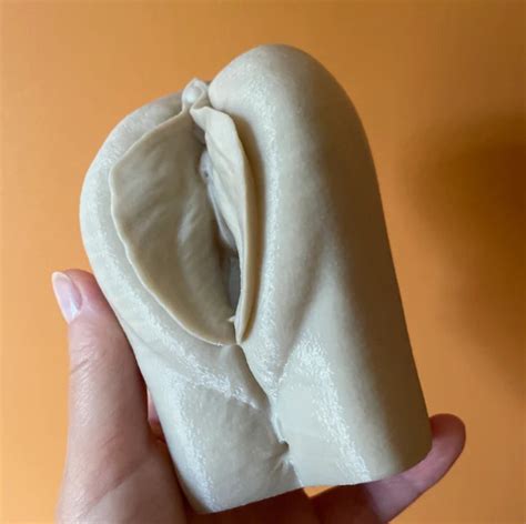 matching penis and vulva model clitoris vagina pussy 3d etsy denmark