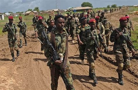 Somali Army Says Operations Kill 100 Al Shabab Militants In Southern Region
