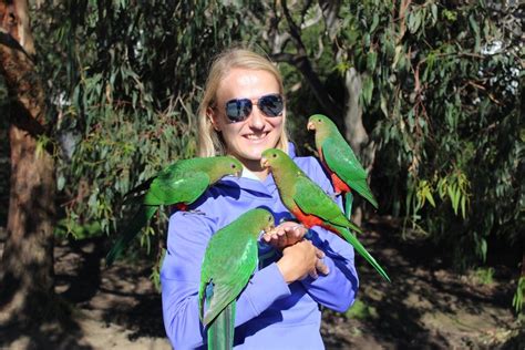 A Woman Holding Two Green Parrots On Her Shoulder