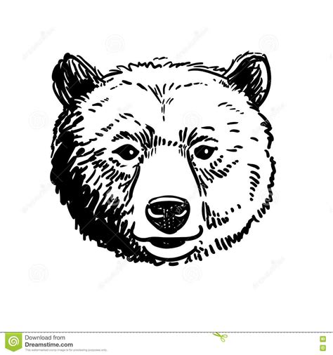 Black And White Bear Head Grizzly Bear Drawing Grizzl