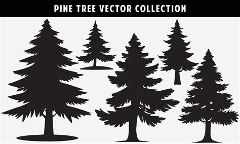 Set Of Pine Trees Silhouettes Vector Graphics For Design