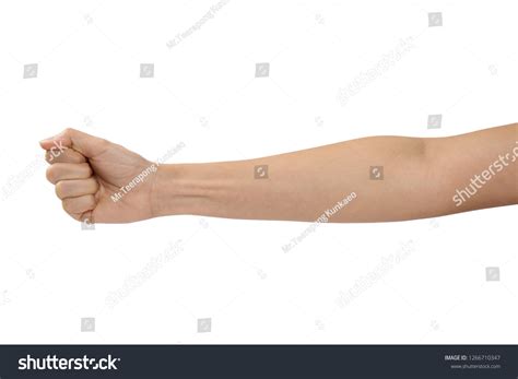 Women Arm Blood Veins On White ภาพสต็อก แก้ไขตอนนี้ 1266710347