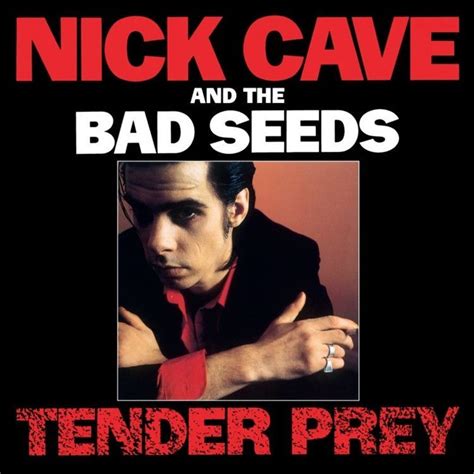 nick cave and the bad seeds tender prey 180g vinyl lp download with images nick cave