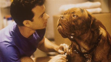 Turner And Hooch First Look At The Dogs That Will Play Hooch In