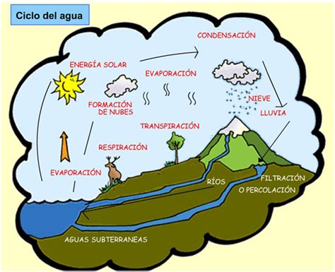 Imágenes Del Ciclo Del Agua Para Niños Explicación Resumen Y Esquema