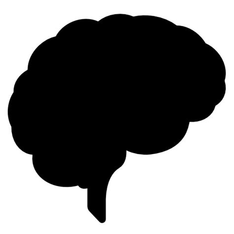 Brain Png Transparent Image Download Size 512x512px