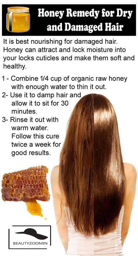 Natural Remedies For Dry And Damaged Hair Treatments And Recovery In