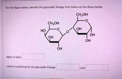 Solved For The Figure Below Identify The Glycosidic Linkage That Makes Up The Disaccharide