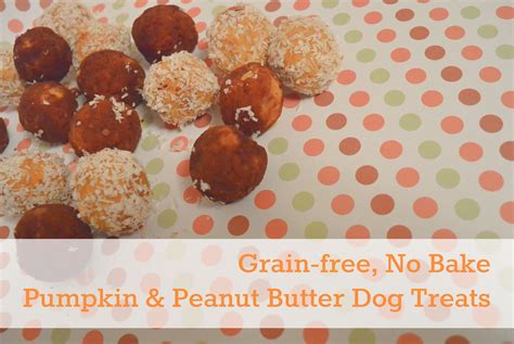 Grain Free No Bake Peanut Butter And Pumpkin Dog Treats