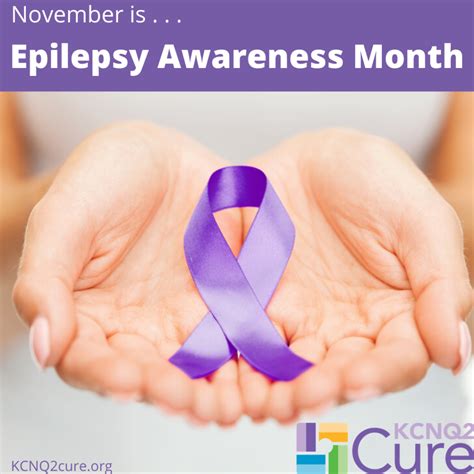 This was a decision of the executive committees of the international league against epilepsy (ilae) and the international bureau for. November is National Epilepsy Awareness Month - KCNQ2 Cure ...