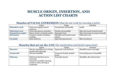 Origin Insertion And Action Of Muscles Chart Best Picture Of Chart