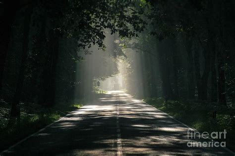 Dark And Lonely Road In The Countryside In A Forest Photograph By Joy