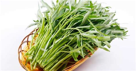 Tìm hiểu khí hậu nhiệt đới là gì. Tiếng Anh Easy: Rau muống Tiếng Anh là gì?