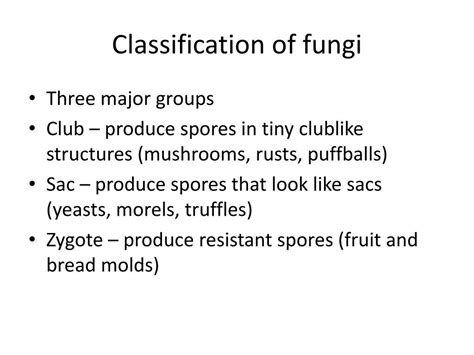 Ppt 74 Fungi Powerpoint Presentation Free Download Id2522702