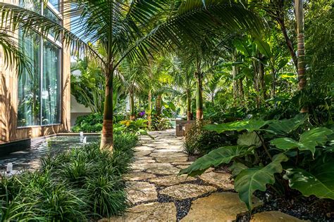 Modern Landscaping Trends In South Florida The Palm Beaches Luxury