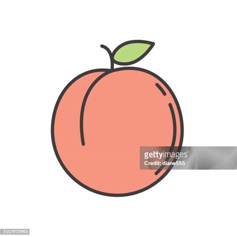 Cute Fruit Line Art Photos And Premium High Res Pictures Getty Images