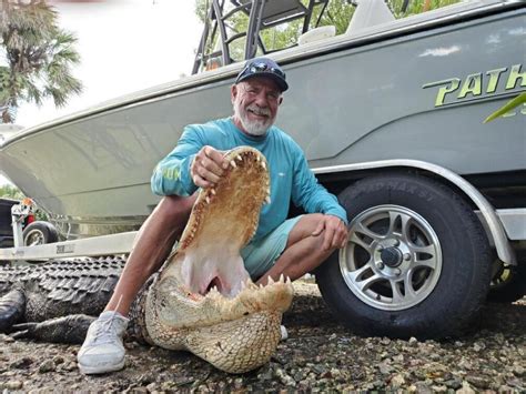 Faq Trophy Florida Gator Hunting By Get Bit Outdoors