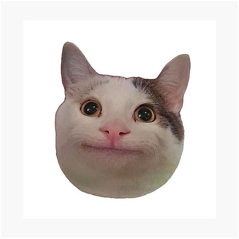 Smiling Beluga Cat Meme Face Photographic Print For Sale By