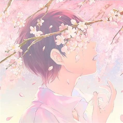 The Cherry Blossom Tree Aesthetic Anime Anime Art
