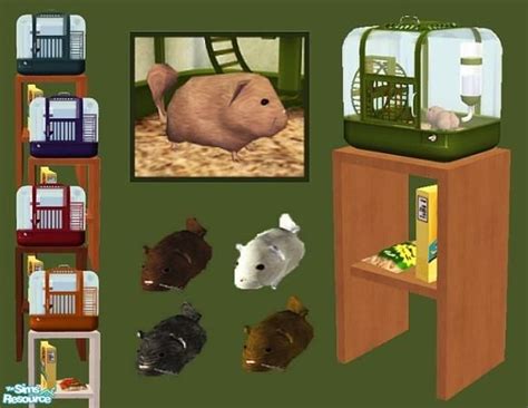 Pureelements Chinchilla Pet Set Sims 4 Pets Sims 4 Pets Mod Sims 2