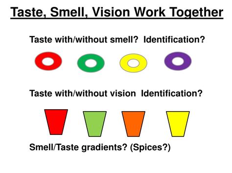 Ppt Chemical Senses Taste And Smell Powerpoint Presentation Free
