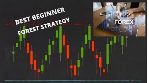 Best Forex Trading Strategies For Total Beginners Youtube