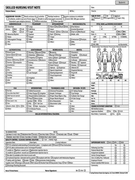 Printable Skilled Nursing Visit Note Form Fill Out And Sign Printable