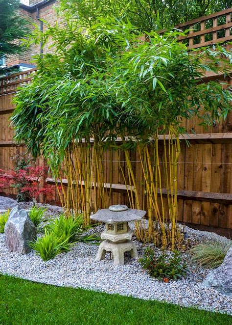 Paul debois design ideas for a large contemporary backyard landscaping in london with decking. 80 Beautiful Side Yard And Backyard Japanese Garden Design ...